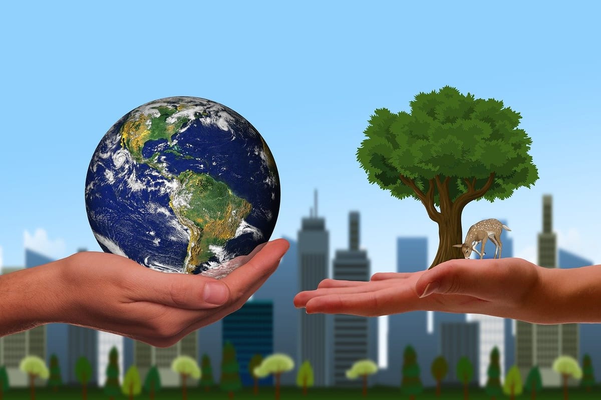The Islamic View and Roles of Muslims in Environmental Sustainability